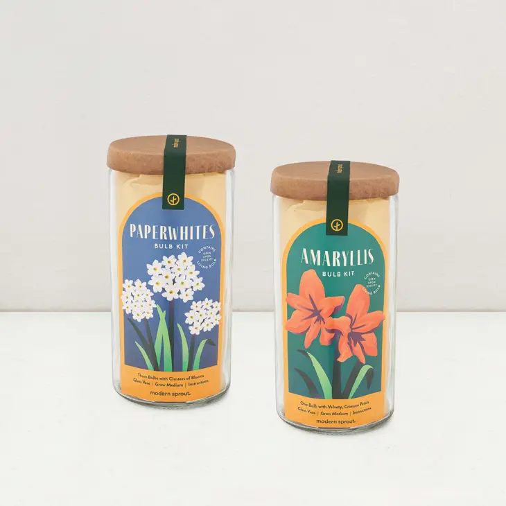 Glass Bulb Grow Kit The Salvaged Boutique