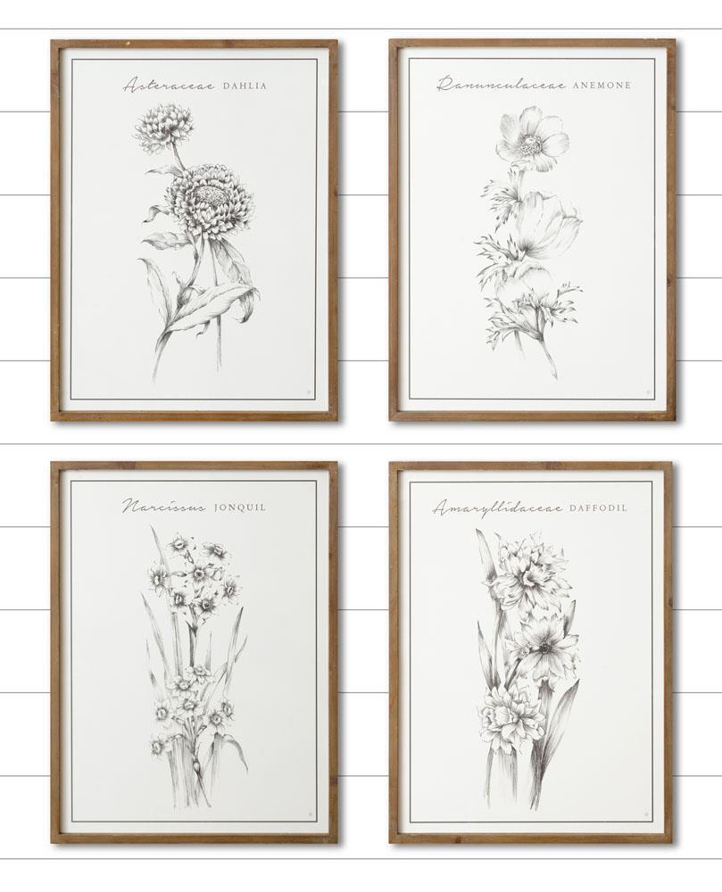 Black and white Botanical Prints (local pickup) – The Salvaged Boutique black-and-white-botanical-prints-local-pickup-the-salvaged-boutique